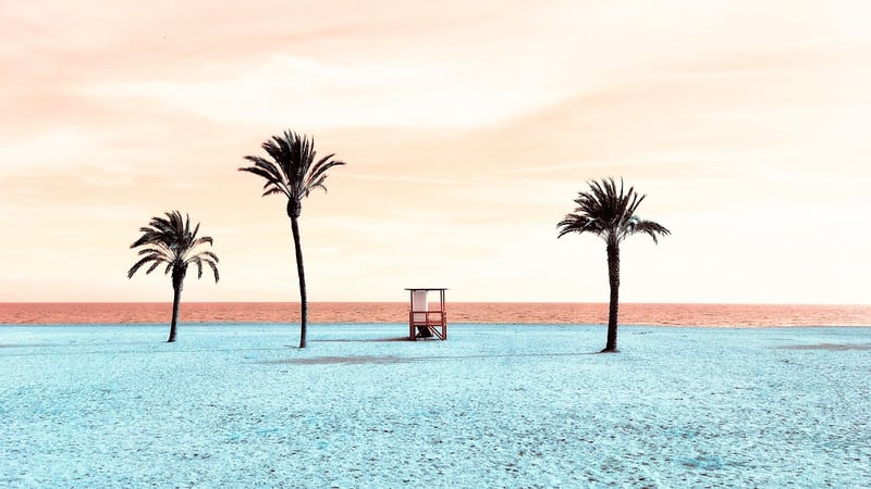 Palm Trees